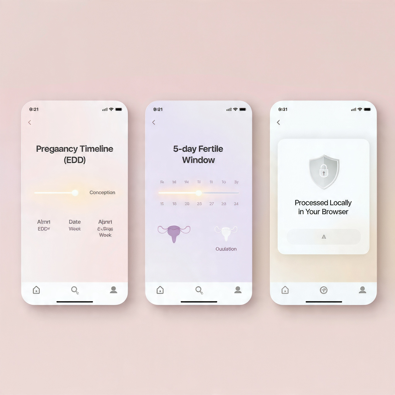 Features of Conception Calculator Tool